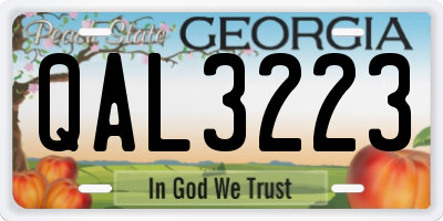 GA license plate QAL3223