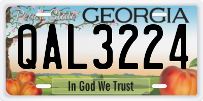 GA license plate QAL3224