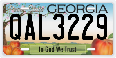 GA license plate QAL3229