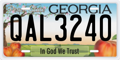 GA license plate QAL3240