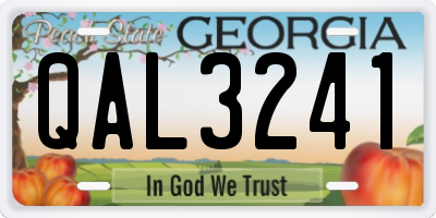 GA license plate QAL3241