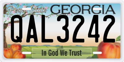 GA license plate QAL3242