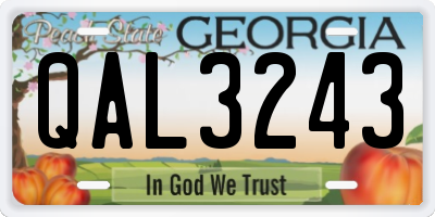 GA license plate QAL3243