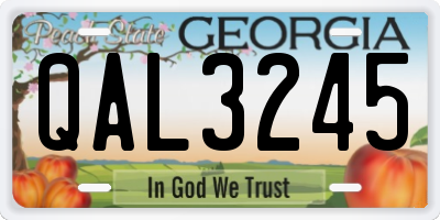 GA license plate QAL3245