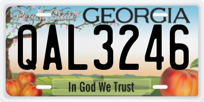 GA license plate QAL3246