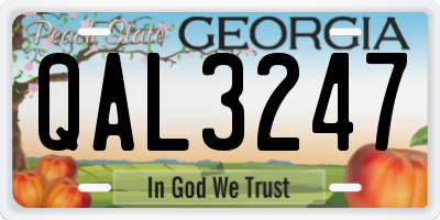 GA license plate QAL3247