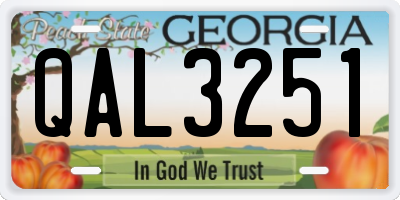 GA license plate QAL3251