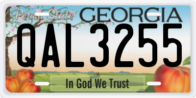 GA license plate QAL3255