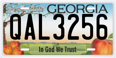 GA license plate QAL3256