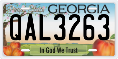 GA license plate QAL3263