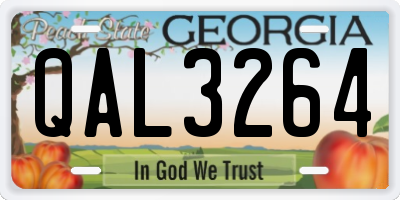 GA license plate QAL3264