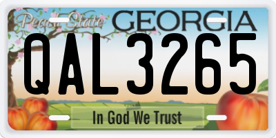 GA license plate QAL3265