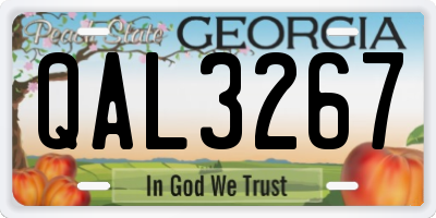 GA license plate QAL3267