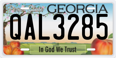 GA license plate QAL3285