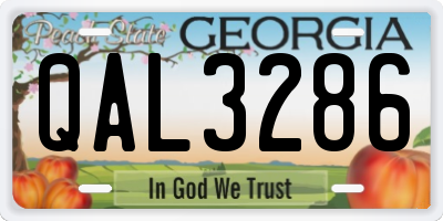 GA license plate QAL3286