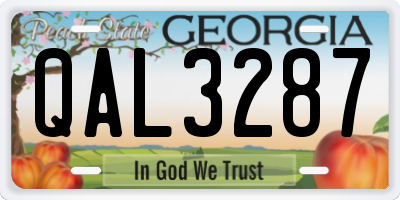 GA license plate QAL3287