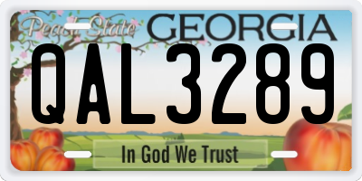 GA license plate QAL3289