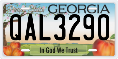 GA license plate QAL3290