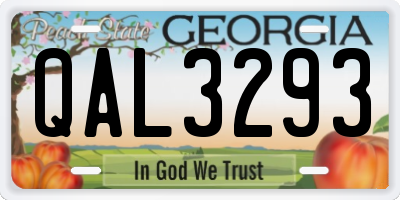 GA license plate QAL3293