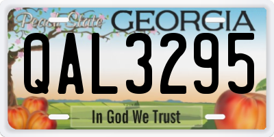 GA license plate QAL3295