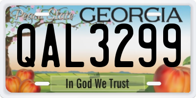 GA license plate QAL3299