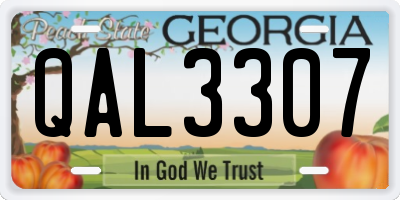GA license plate QAL3307