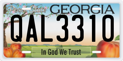 GA license plate QAL3310