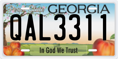 GA license plate QAL3311