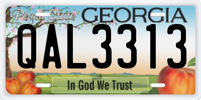 GA license plate QAL3313