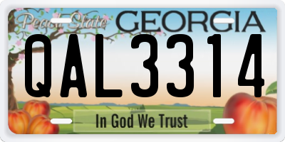 GA license plate QAL3314