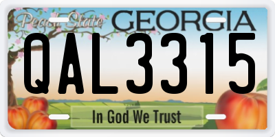 GA license plate QAL3315