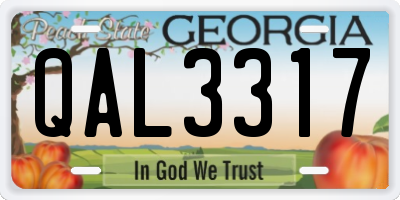 GA license plate QAL3317