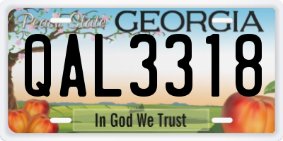 GA license plate QAL3318