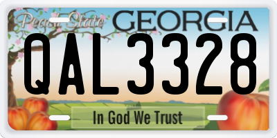 GA license plate QAL3328