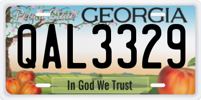 GA license plate QAL3329