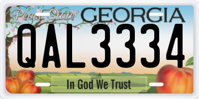 GA license plate QAL3334