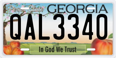 GA license plate QAL3340