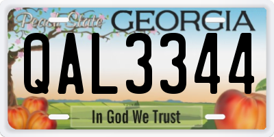 GA license plate QAL3344