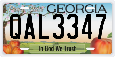 GA license plate QAL3347