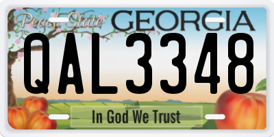 GA license plate QAL3348