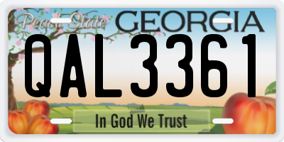 GA license plate QAL3361