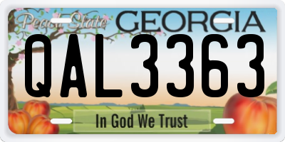 GA license plate QAL3363