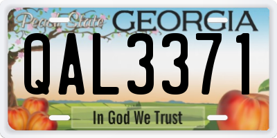 GA license plate QAL3371