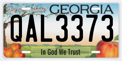 GA license plate QAL3373