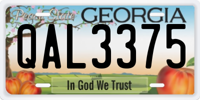 GA license plate QAL3375