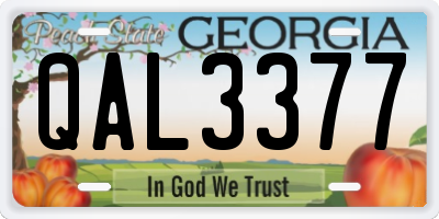 GA license plate QAL3377