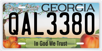 GA license plate QAL3380