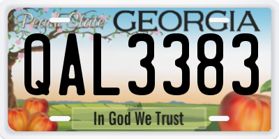 GA license plate QAL3383