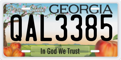 GA license plate QAL3385