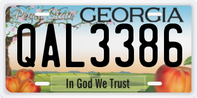 GA license plate QAL3386